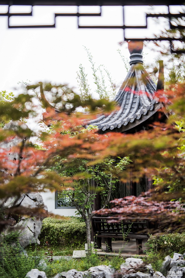 庭院 庭院